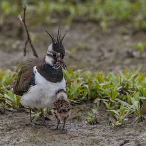 Moeder communiceert met haar kind dat ze bij zich geroepen heeft 10x10.