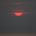 Kleine mantelmeeuw voor de ondergaande zon, boven de Noordzee.
